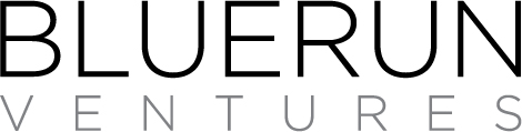 Bluerun Ventures logo